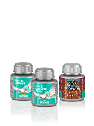 Olio Motore Motorex Italia